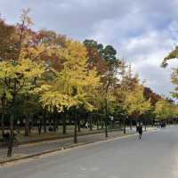 สวนปราสาท โอซาก้า สวนสวย ใจกลางเมือง