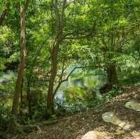 ธรรมชาติสวยๆ​ ที่​ River​wood​ ค่าเฟ่