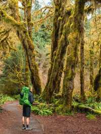 Fall in Love with USA National Parks: Nature at Its Finest