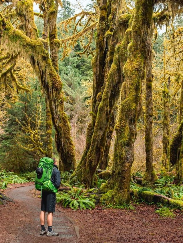 Fall in Love with USA National Parks: Nature at Its Finest