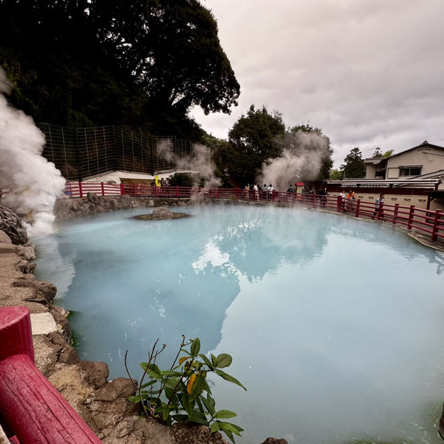 Beppu Hot Springs Hells Tour