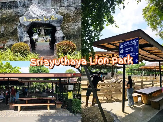 ศรีอยุธยา ไลอ้อน ปาร์ค: สวนสัตว์ซาฟารีในอยุธยา