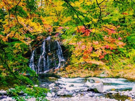 青森🇯🇵中野紅葉山