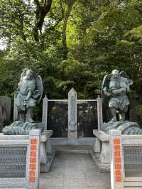 【東京近郊】高美山一日遊🌳玩盡纜車吊車🚡輕鬆登頂