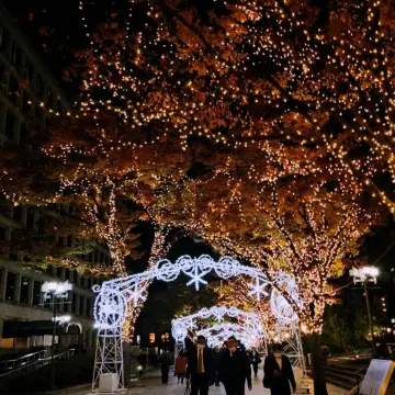 冬日浪漫大阪燈飾展的璀璨之旅。