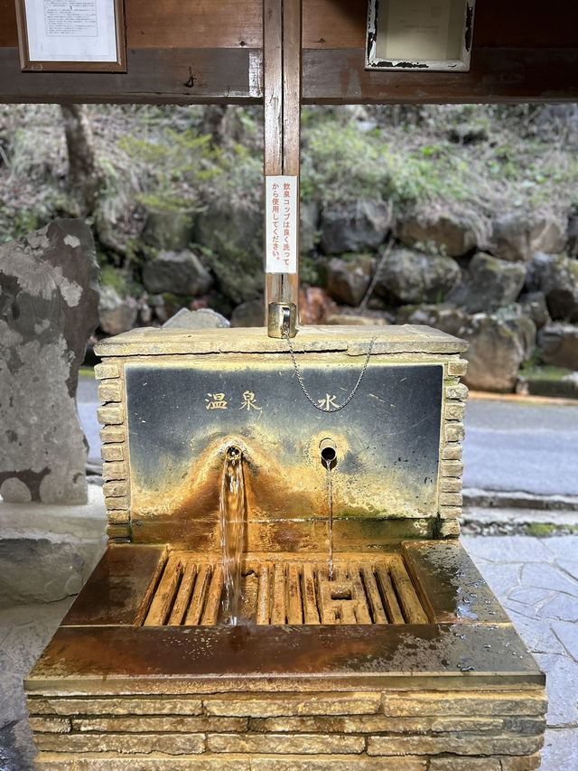 【伊香保】昼も夜も楽しめる🌙石段街の魅力