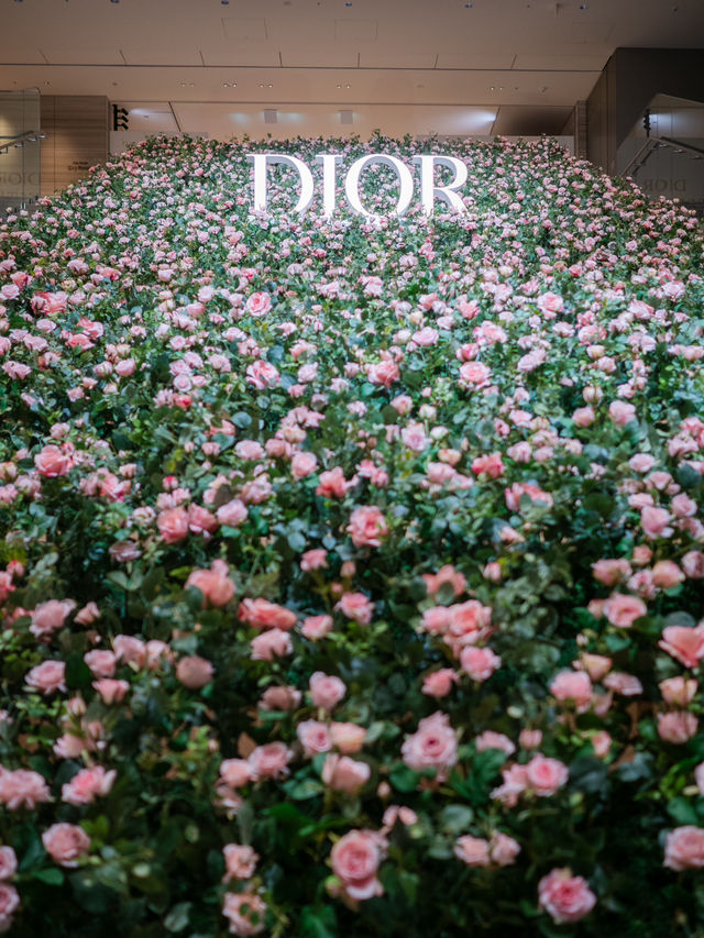 【無料で楽しめる！✨】Diorの期間限定イベントが華々しすぎる！💐