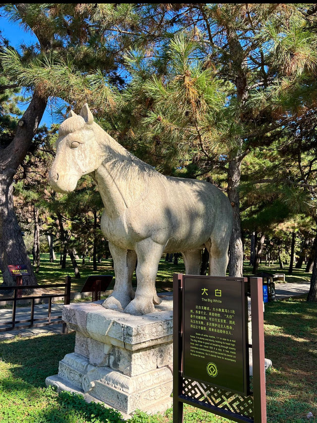 Beiling Park: A Tranquil Escape in Shenyang