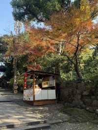  Serene Scenery in Suzhou at Tiger Hill