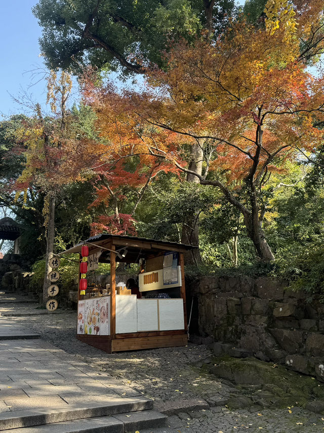  Serene Scenery in Suzhou at Tiger Hill