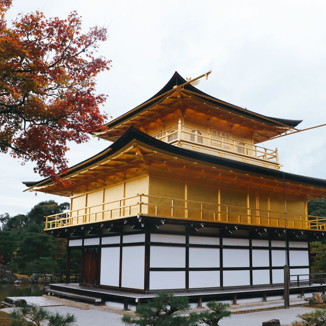 Kinkakuji Temple