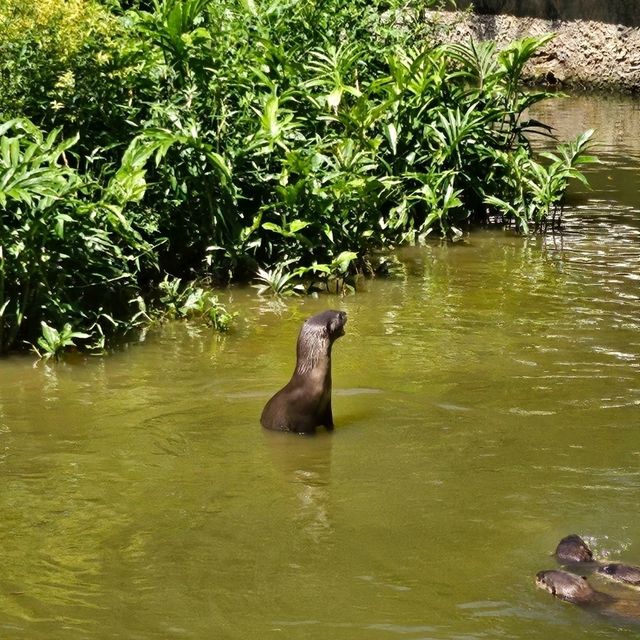 LOKAWI WILDLIFE PARK 