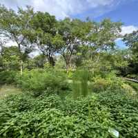 🌿 香港濕地公園：與自然共舞的美好時光 🌿