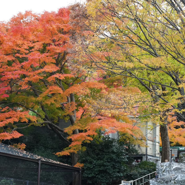 上田公園-黃金畫廊