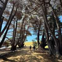 Maria Island, Tasmania