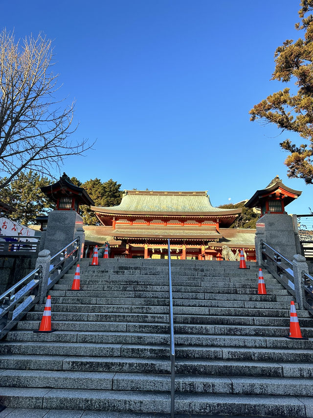 【浜松 冬の旅】 青銅製で最大級の狛犬 家康ゆかりの神社
