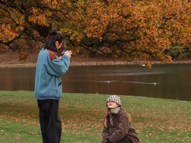 一不小心🎨我們邂逅了油畫般的Roundhay Park🖼️