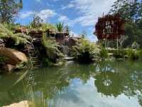 Beauty of National Rhododendron Gardens