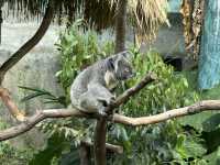 走進台北市立動物園：生命的奇妙🌍🐾