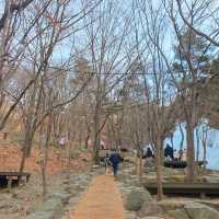겨울왕국이 따로 없는 비슬산 얼음동산❄️