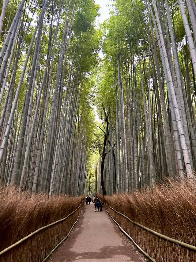 Three days two nights in Kyoto Itinerary 