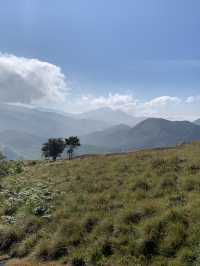 NP Hike with endangered species Nilgiri Tahr‼️
