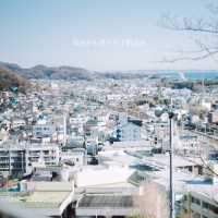 【神奈川】1月に見頃を迎える菜の花畑💛「二宮 吾妻山公園」