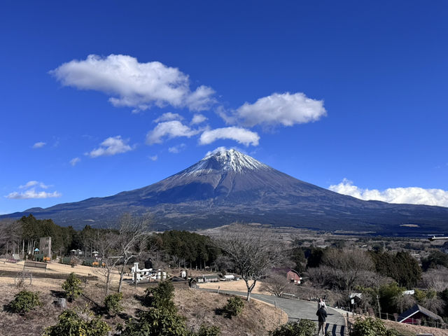 觀看富士山的景點