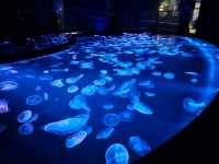 【すみだ水族館】