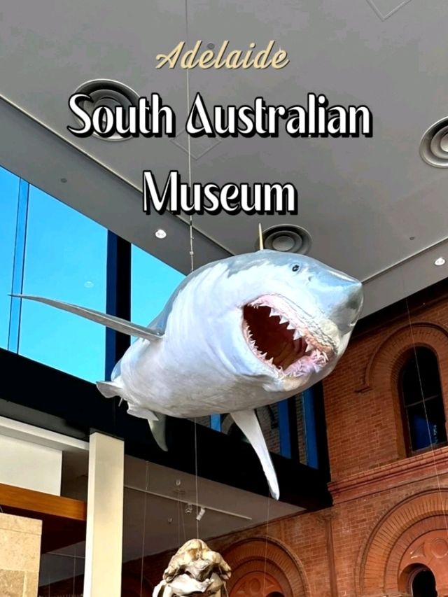 South Australian Museum in Adelaide