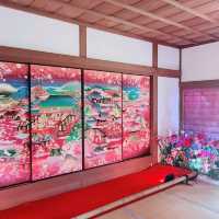 京都⛩️　隨心院🪷フォトジェニックスポット