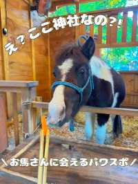 【神奈川】馬好きさんはここ行って🐴ご利益たくさんなパワースポット