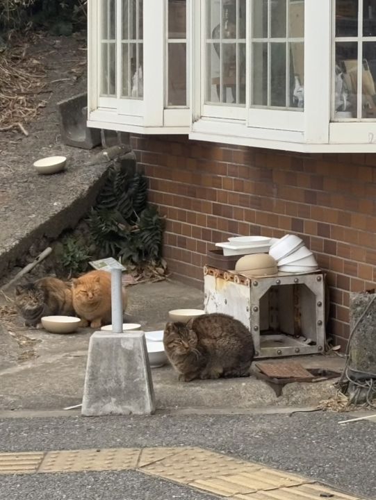 【神奈川】絶景の観光スポット