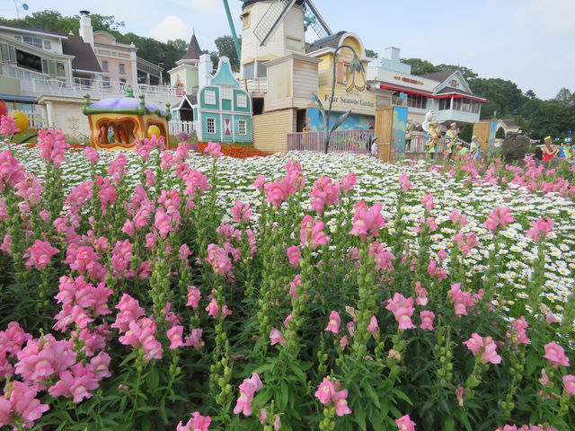 🇰🇷 首爾超美打卡樂園！