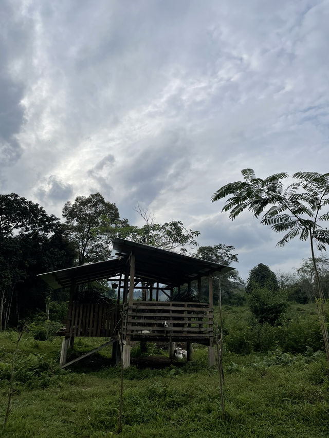 Scenic beauty and natural attractions in Jeli Kelantan 