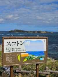 【礼文島最北端の岬】