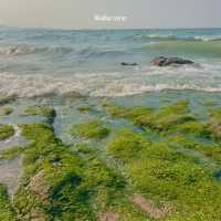 ชวนมาเดทถ่ายรูปคู่กันที่หาดลับพัทยา!! 