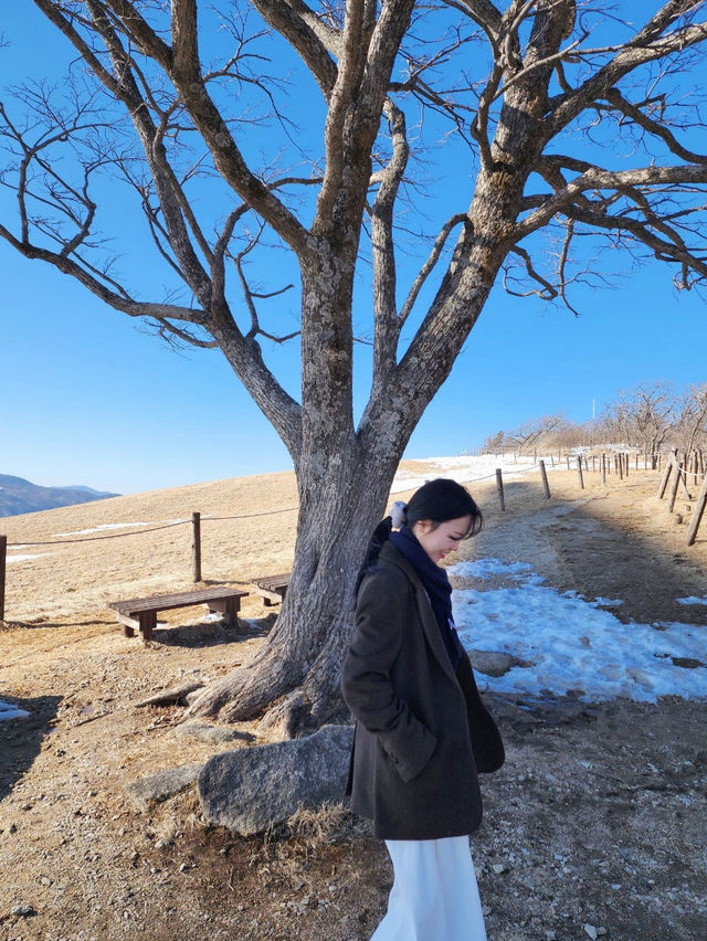 삼양목장