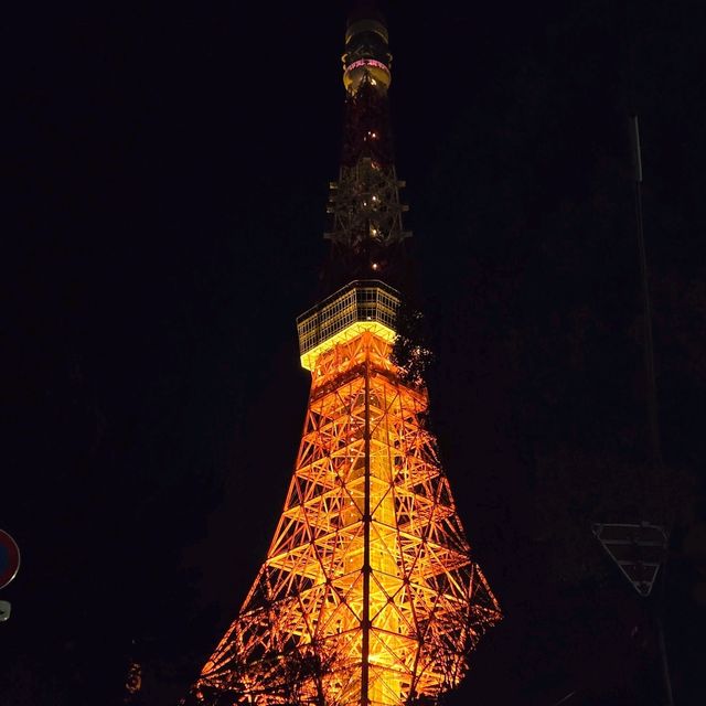 東京タワー夜景散歩：煌めく東京の象徴を巡る旅