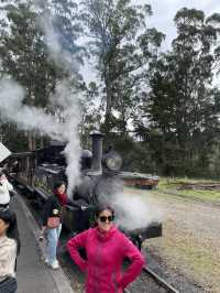 🇦🇺 Marvellous Melbourne: My Favourite Experiences