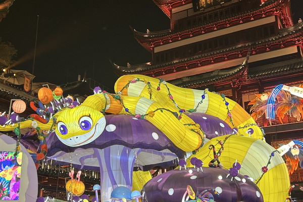 2025 Yuyuan Lantern Festival - Year of the Snake | Trip.com Shanghai