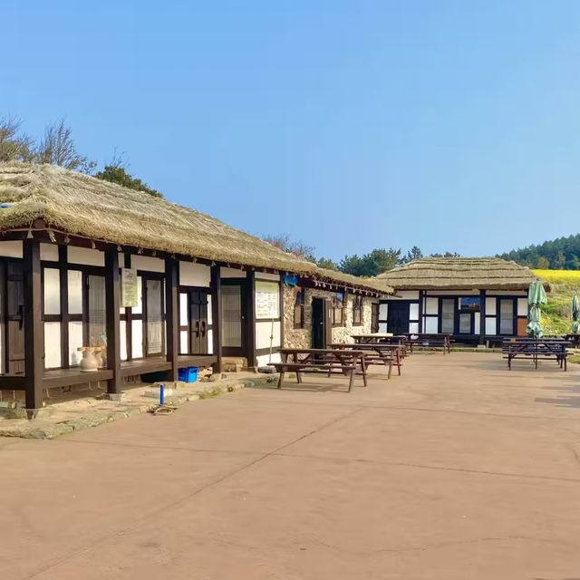 다가올 봄에 가면 좋을 유채꽃과 바다가 보이는 주막- 청산도 서편제 주막