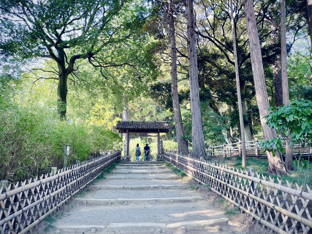 【紅葉と歴史】秋の水戸日帰り満喫モード🍁🚆