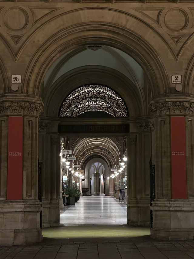 Experience the Magic of Vienna by Night