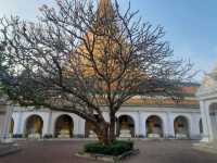 องค์พระปฐมเจดีย์ นครปฐม