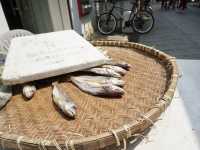 Beyond the Village: A Scenic Escape Around Tai O