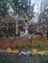 Shanghai's Hidden Gem
