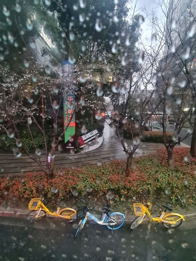 Shanghai's Hidden Gem