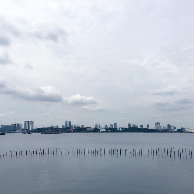 Singapore’s Wild Side: A Scenic Stroll Through Sungei Buloh