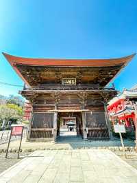 五重塔が美しい！四季折々の自然が楽しめる高幡不動尊